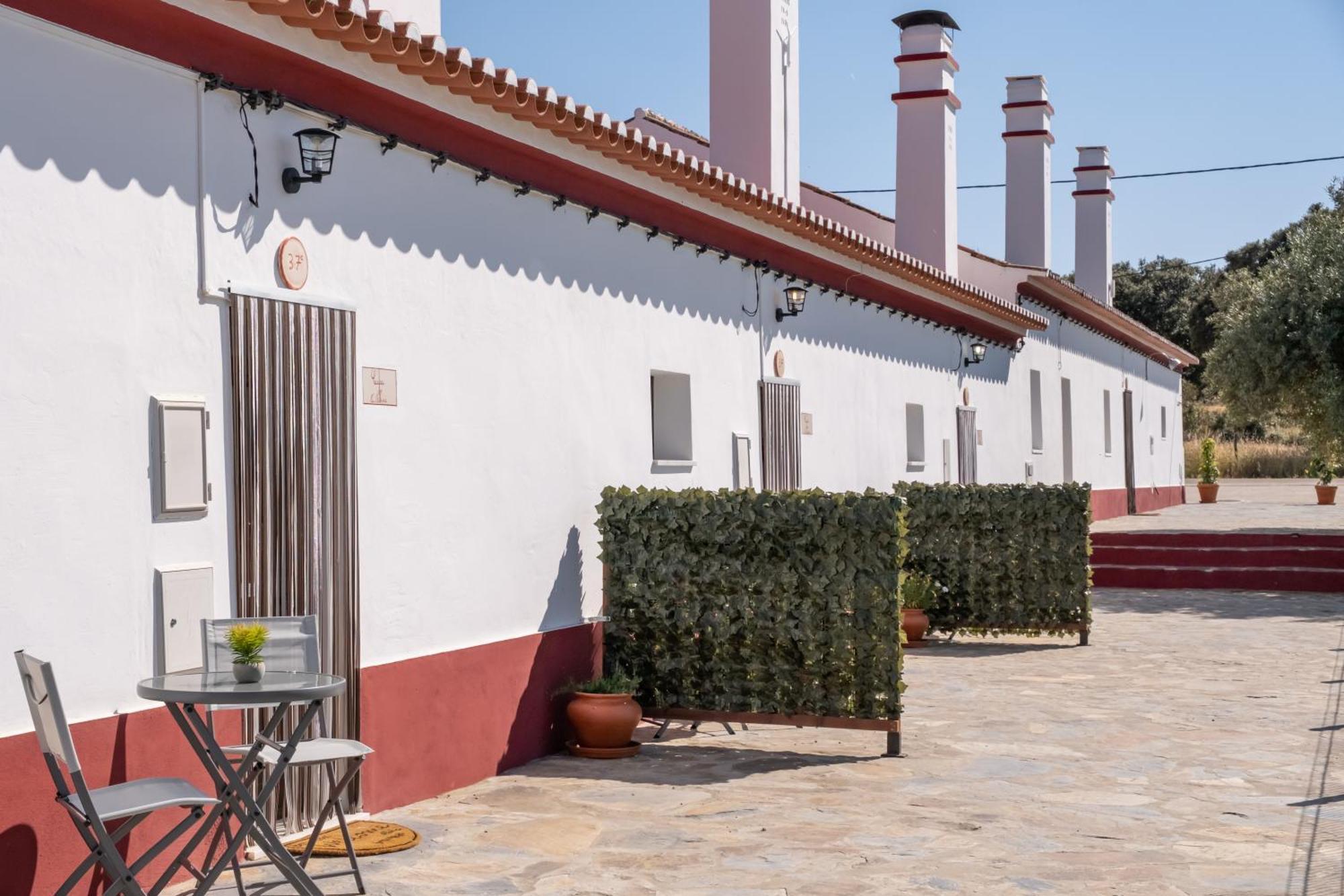 Casa Da Ritinha - Praia Azenhas D El Rey Montes Juntos Exterior foto